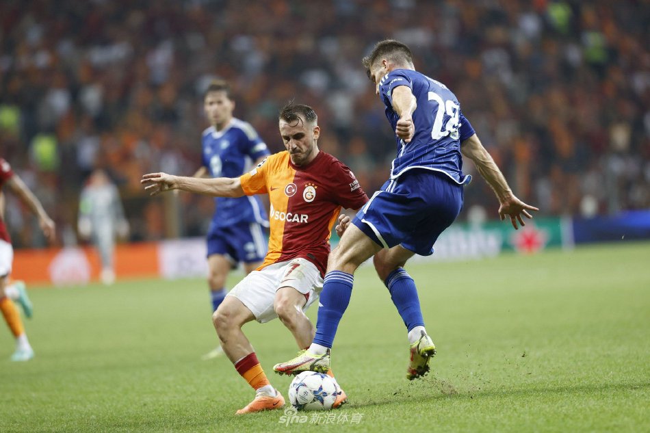 提供了一场 提供了一场