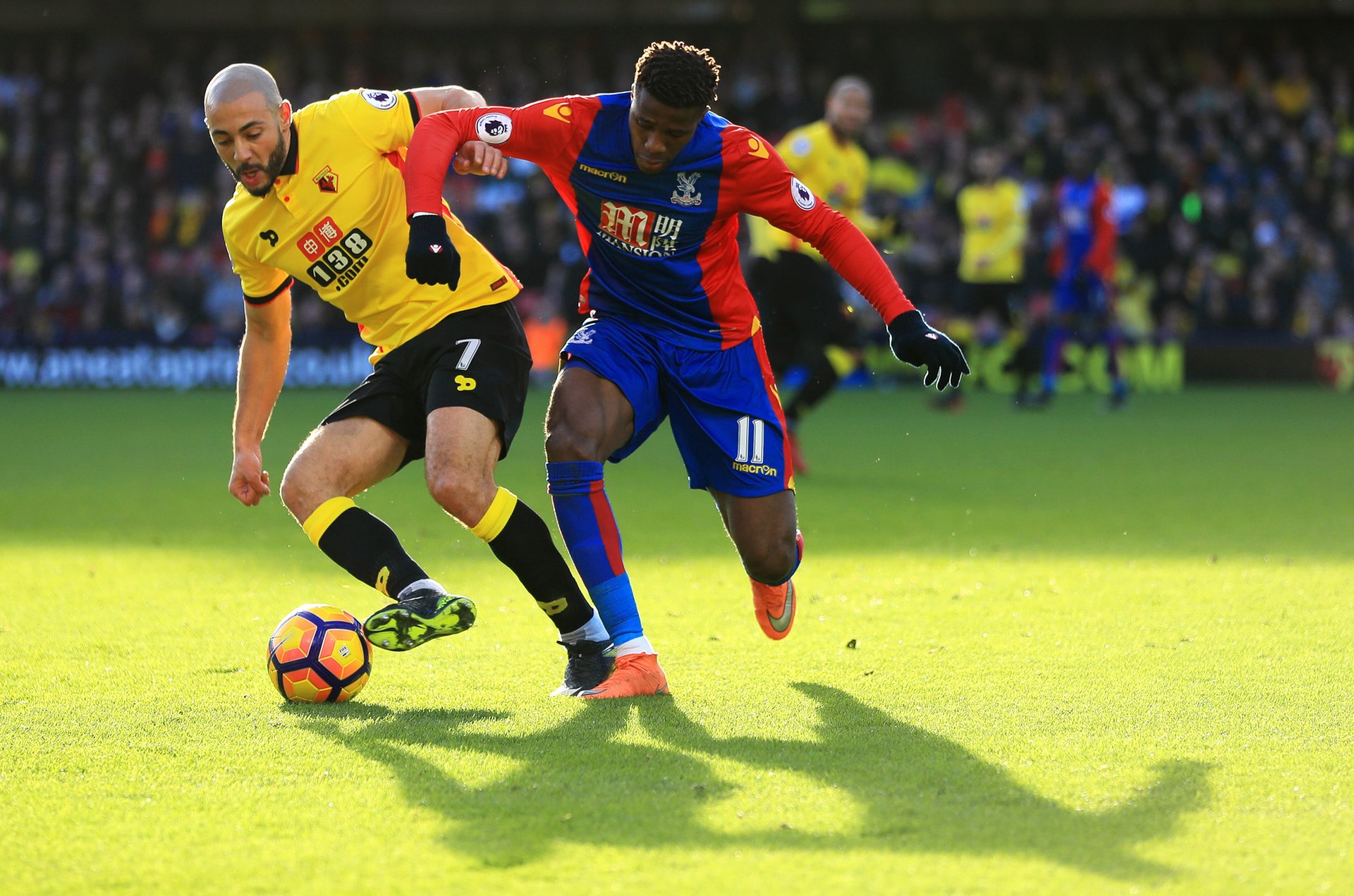 新成为可能 新成为可能